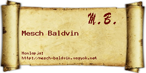 Mesch Baldvin névjegykártya